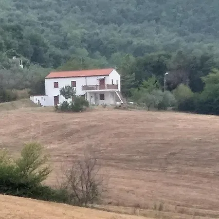 Il Pettirosso