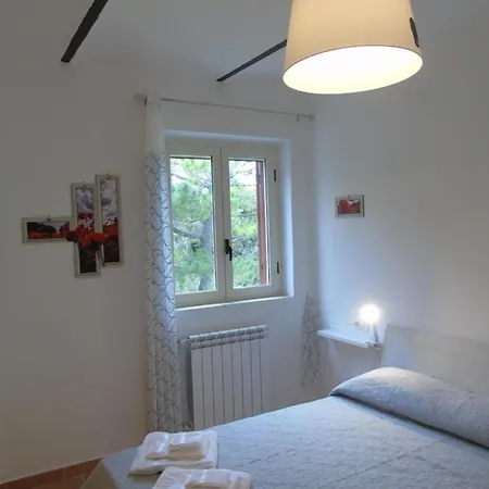 Il Pettirosso * Altino